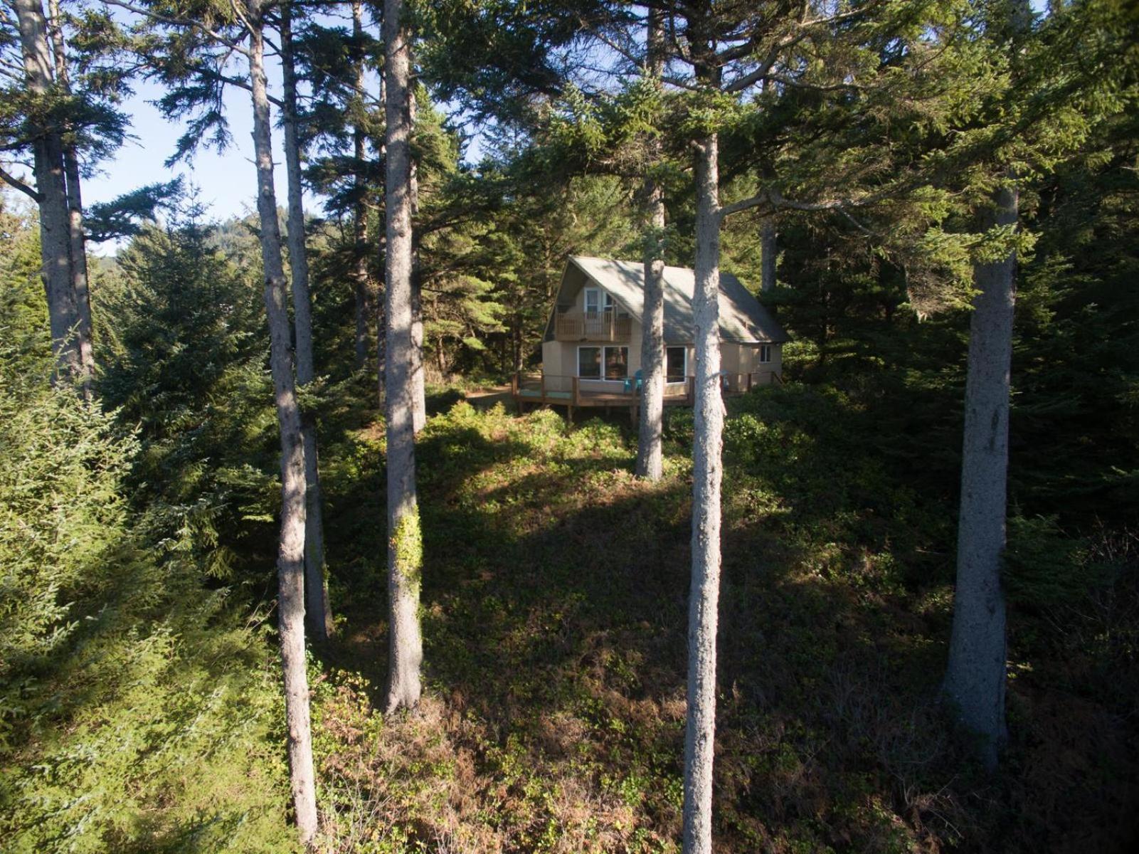 The Cedar House Villa Otter Rock Bagian luar foto